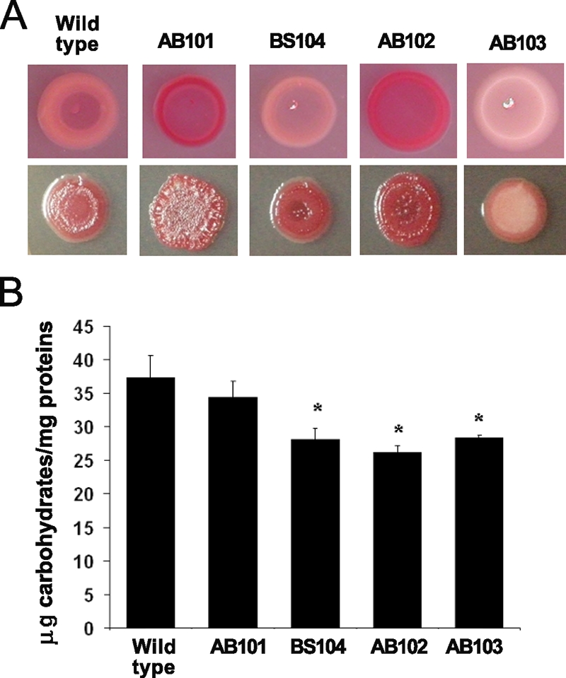 FIG. 7.