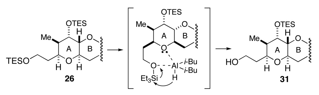 Scheme 7