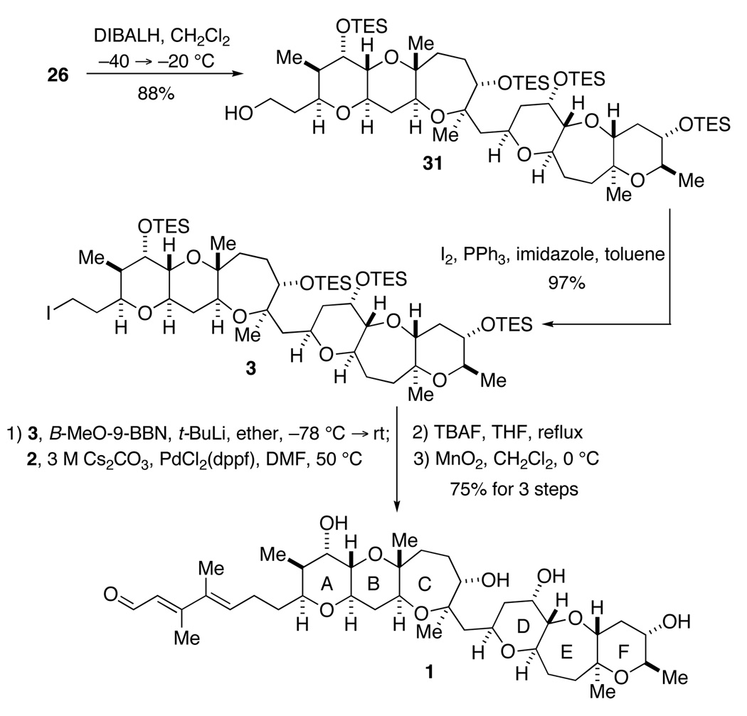 Scheme 6