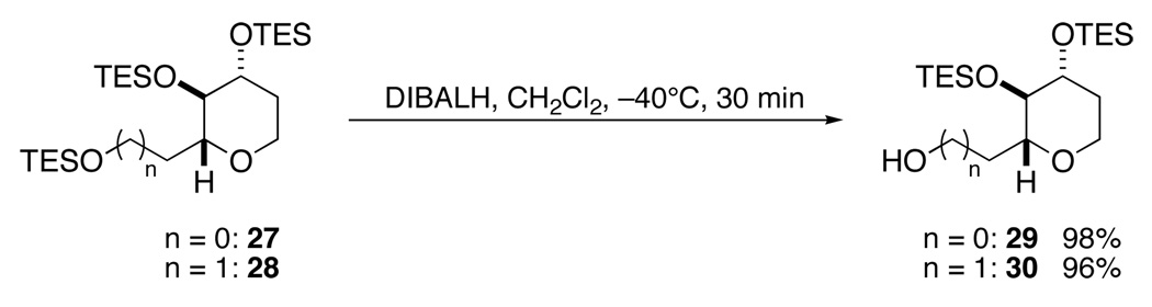 Scheme 5