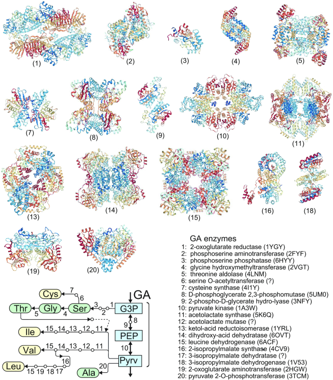 Figure 6.