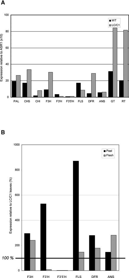 Figure 12.