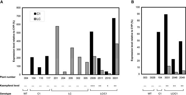 Figure 10.