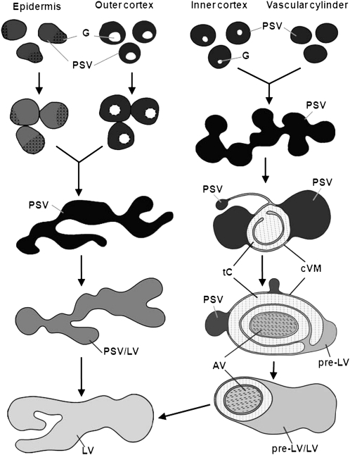 Figure 9.