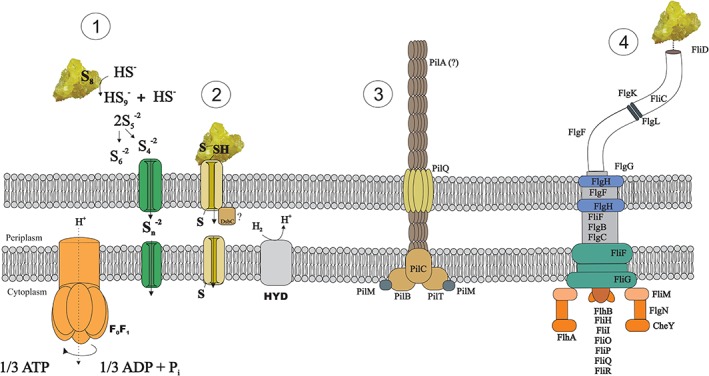 Figure 6