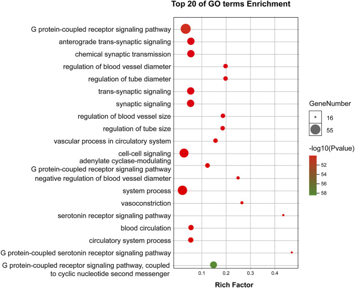 FIGURE 4