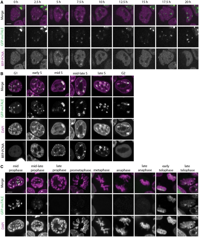 Figure 2.