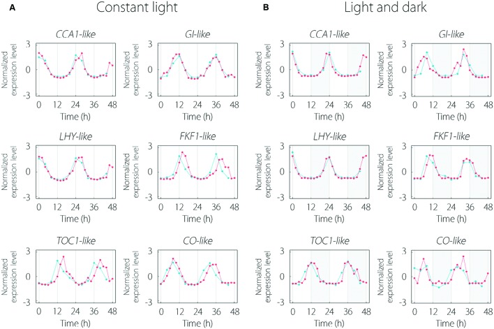 FIGURE 3