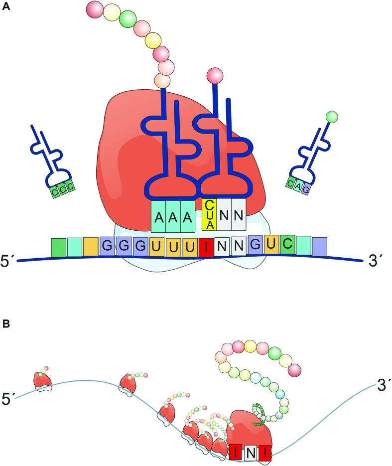 Figure 7.