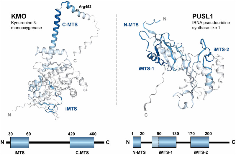 Fig 4