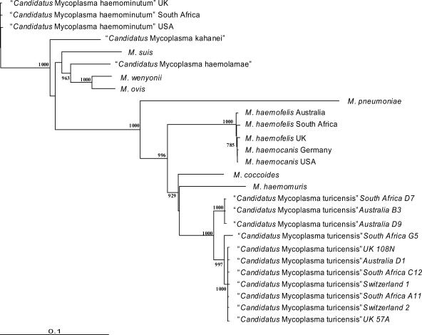 FIG. 1.