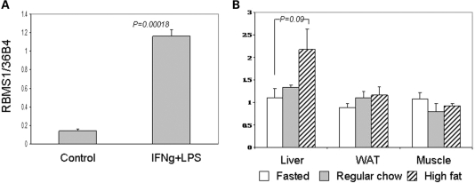 Figure 4.