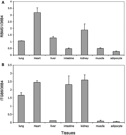 Figure 3.