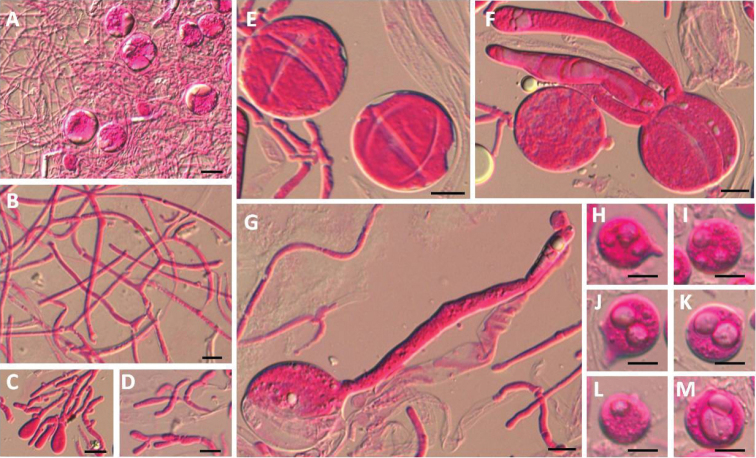 Figure 6.