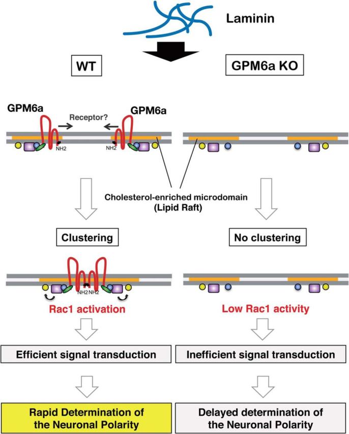 Figure 11.