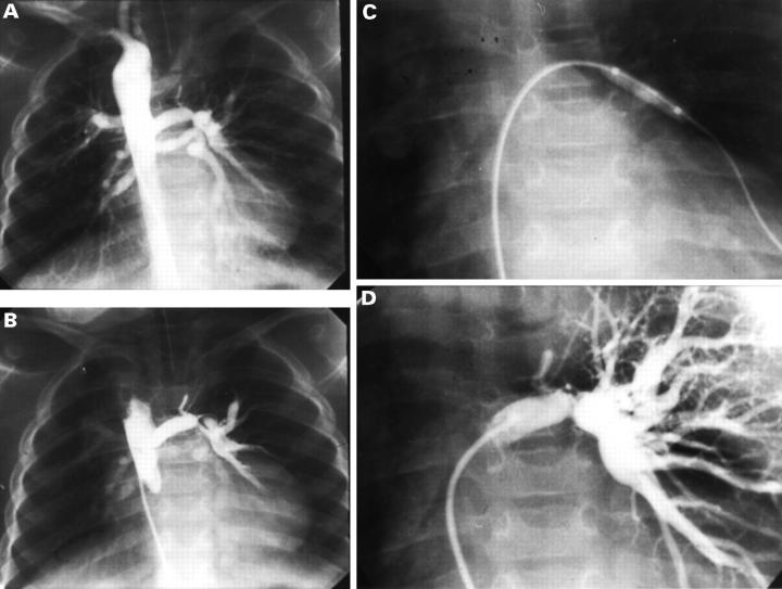 Figure 4  