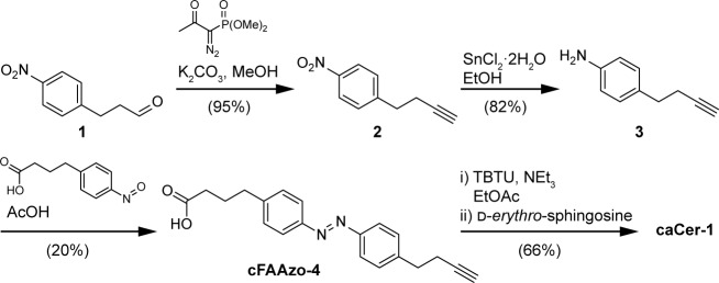 Figure 1—figure supplement 1.