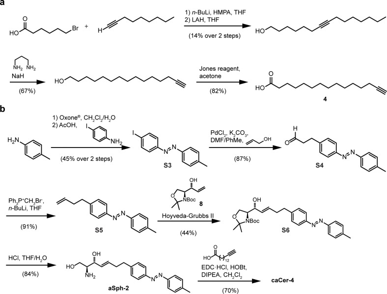 Figure 1—figure supplement 4.