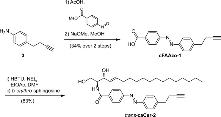 Figure 1—figure supplement 2.