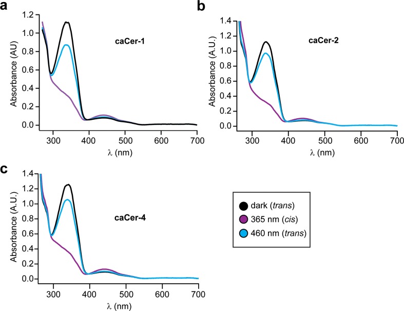 Figure 1—figure supplement 3.