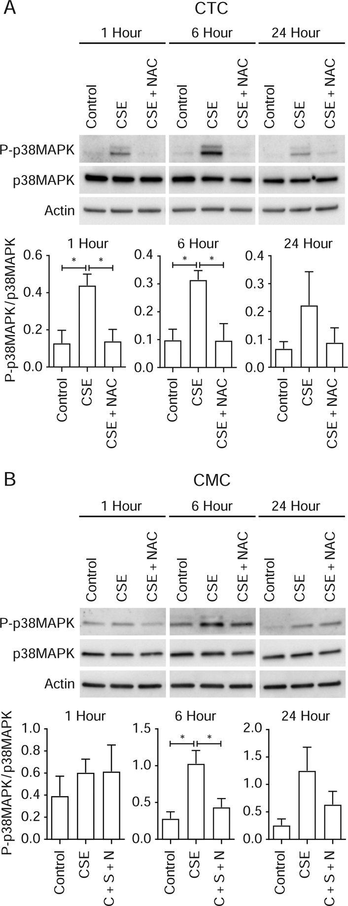 Figure 3: