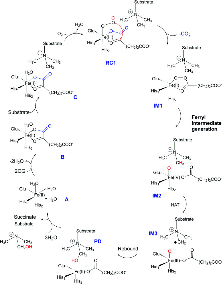 Fig. 1