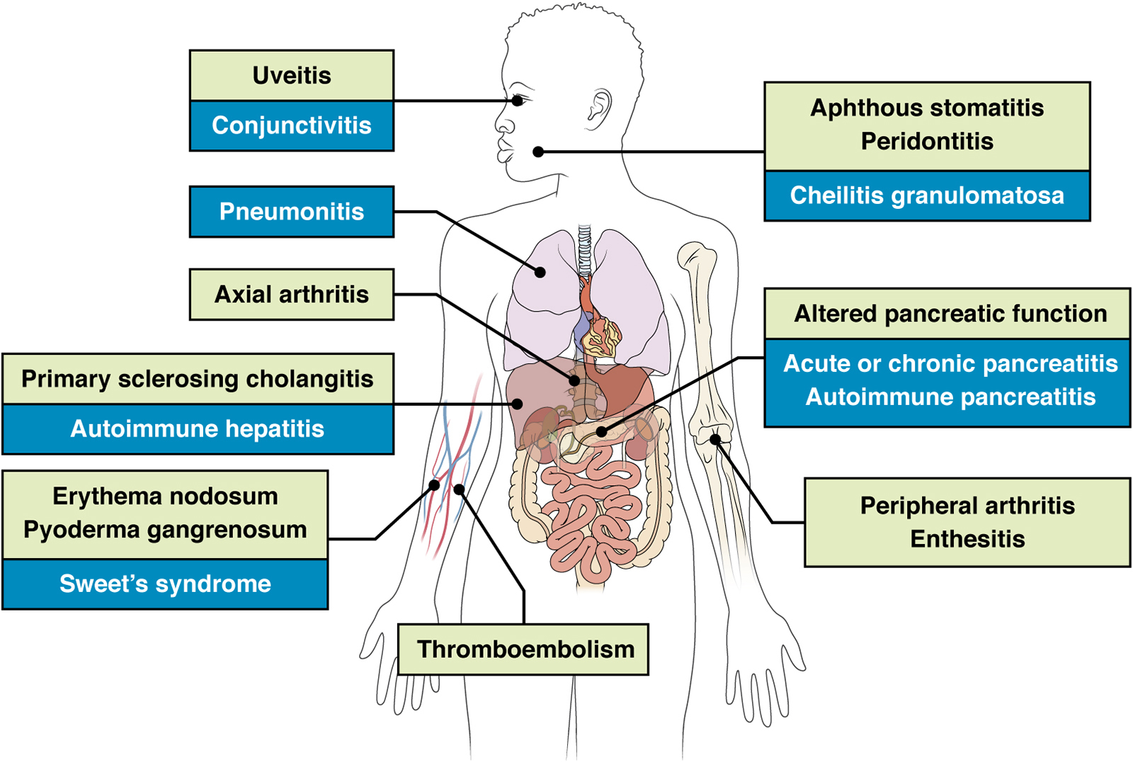 Figure 3: