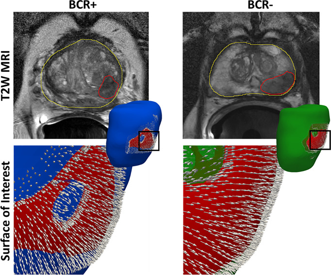 Figure 3