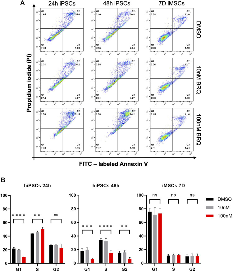 FIGURE 4