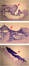 Fig. 3