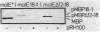 464