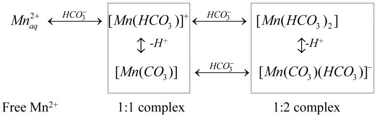 Scheme II