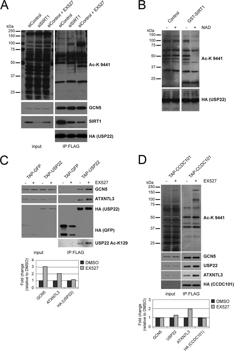 Fig 9