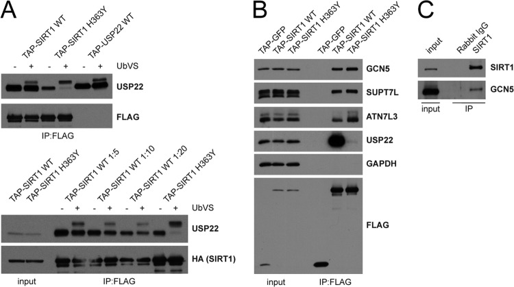 Fig 5