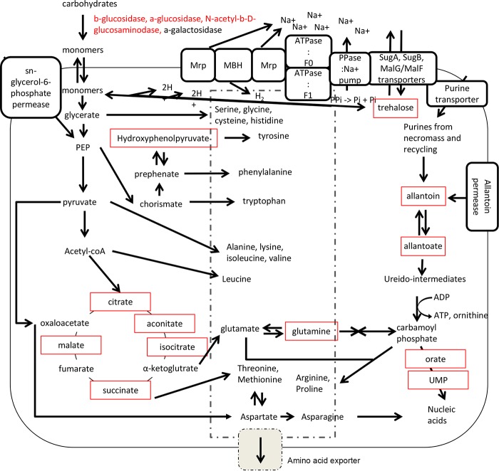 FIG 6