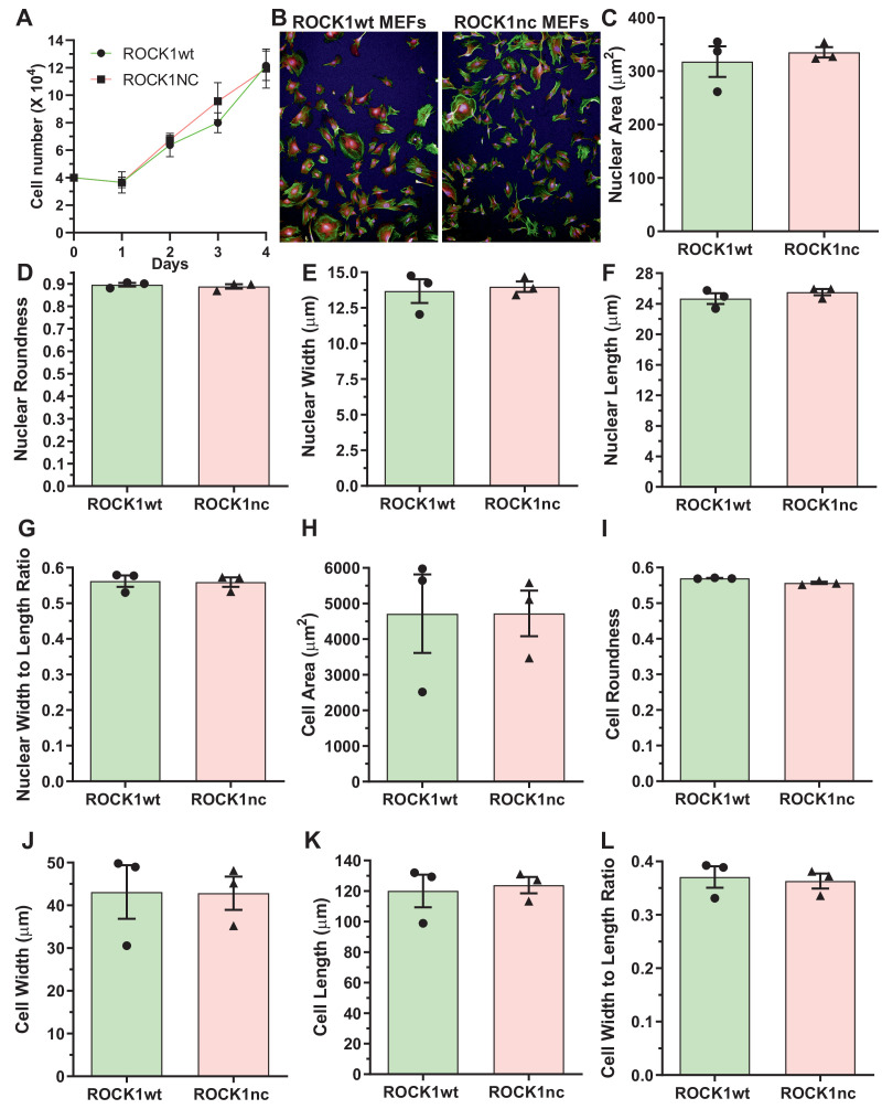 Figure 2—figure supplement 1.