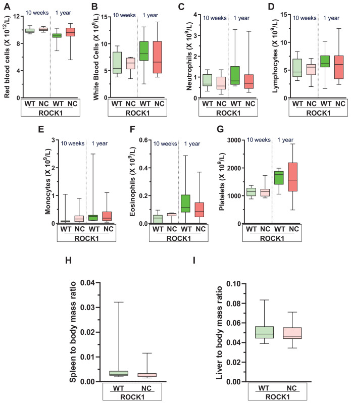 Figure 3—figure supplement 2.