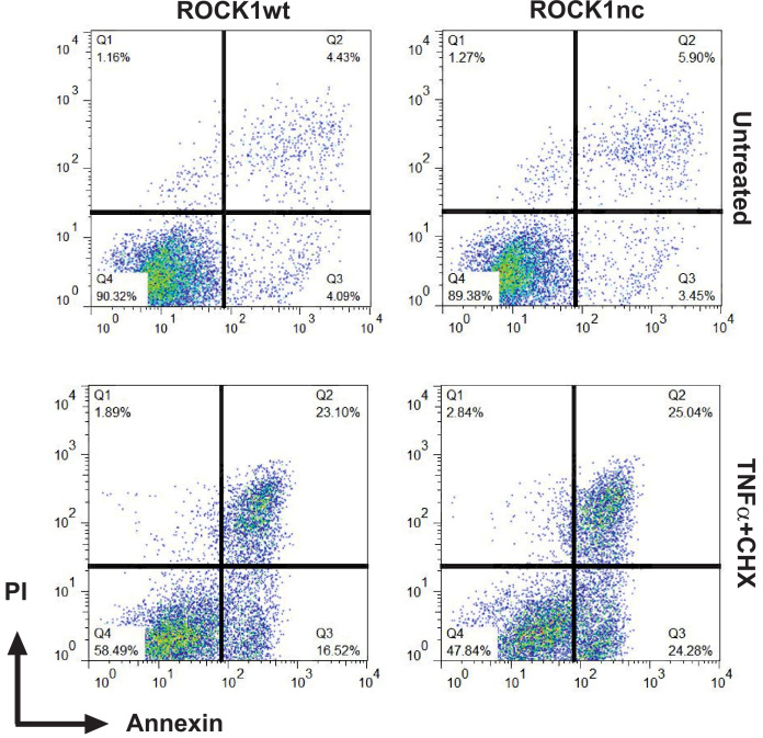 Figure 1—figure supplement 3.