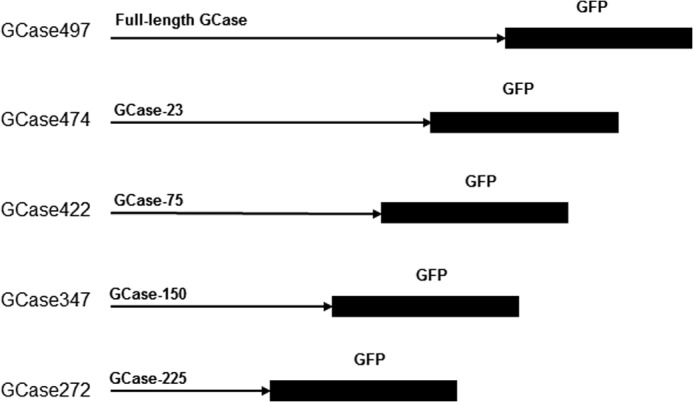 FIGURE 1.