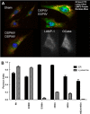 FIGURE 10.