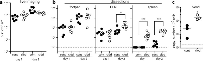 FIG 5