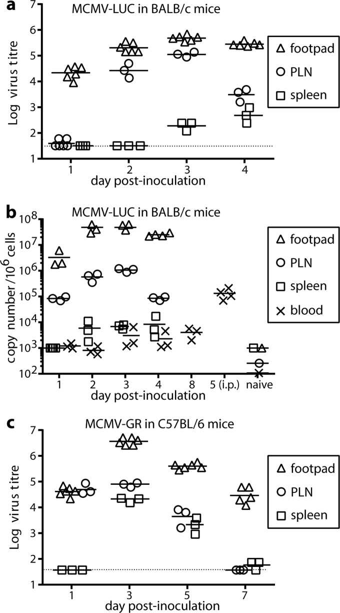 FIG 2