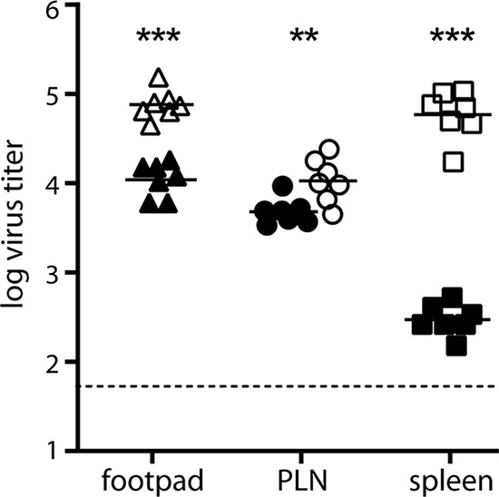 FIG 7