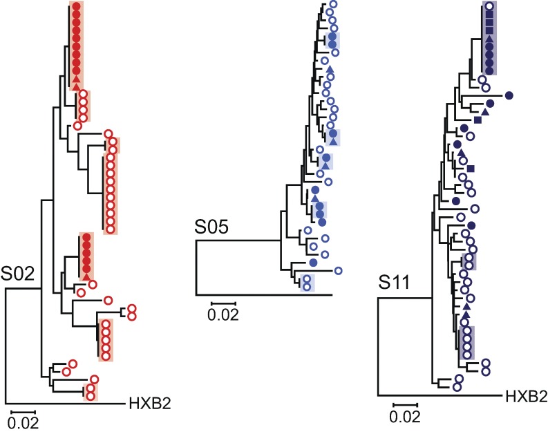 Figure 5.