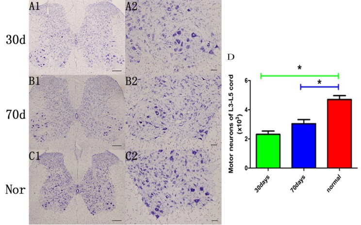 Fig. (4)