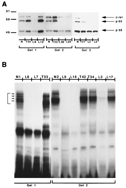 FIG. 3