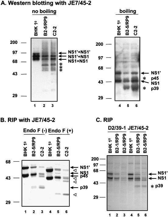 FIG. 6