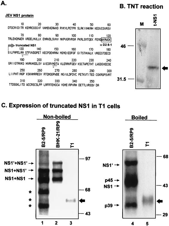 FIG. 7