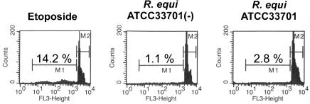 FIG. 8.