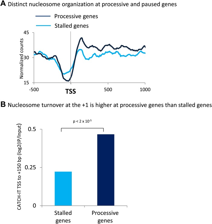 Figure 6—figure supplement 2.